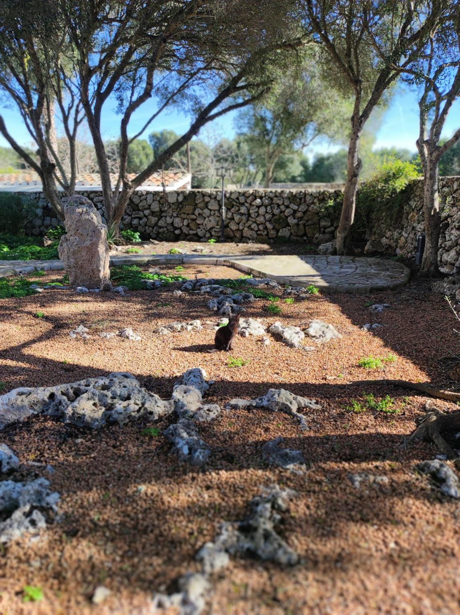 Turismo Rural Biniati Des Pi Sant Lluis Eksteriør billede